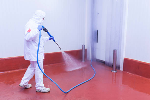 Best Roof Washing  in Rural Hall, NC