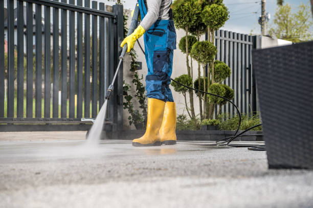 Best Fence Cleaning  in Rural Hall, NC