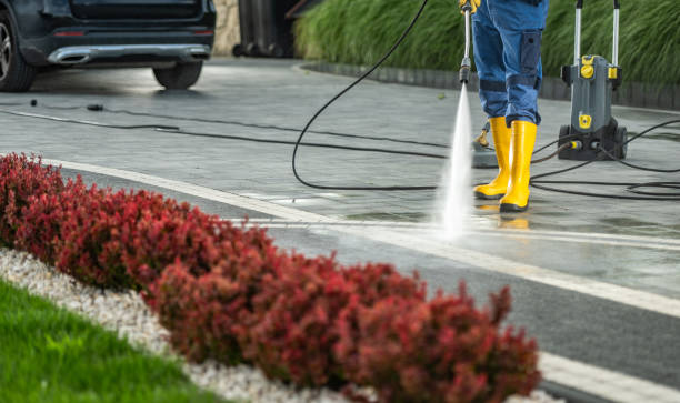 Best Dumpster Area Cleaning  in Rural Hall, NC